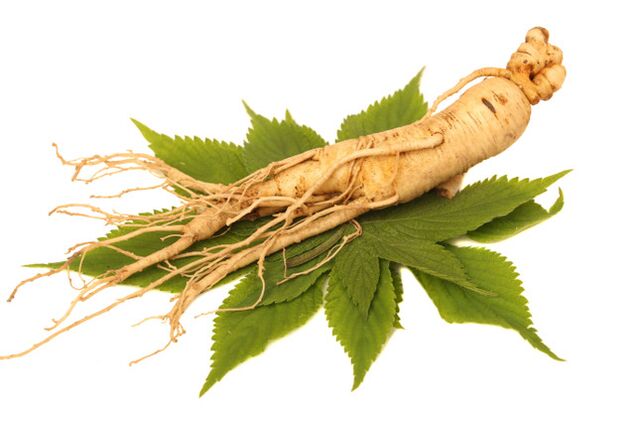 Ginseng word in spray Nicode