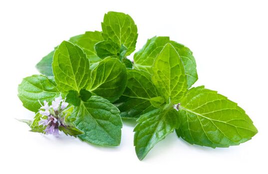 Mint leaves in Nigood spray