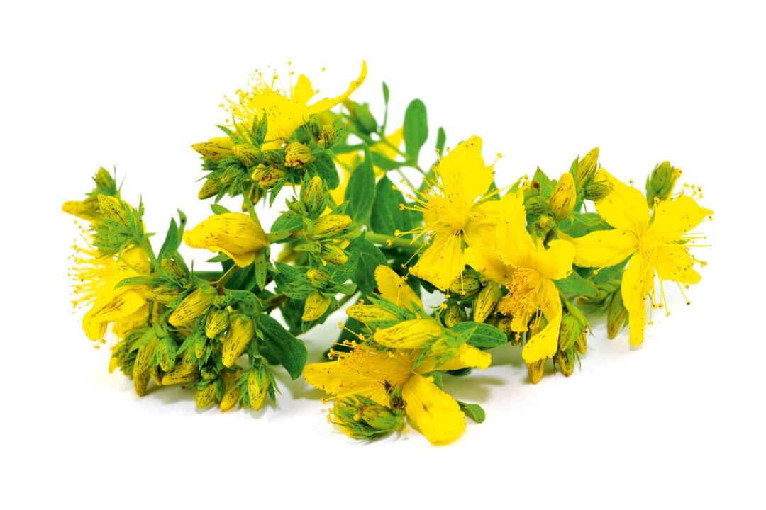 St. John's Wort in Nicode Spray